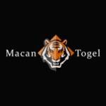 macantogel macantogel Profile Picture