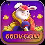 66dv 66dv Profile Picture