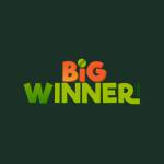 bigwinner bigwinner Profile Picture