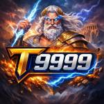t9999 t9999 Profile Picture