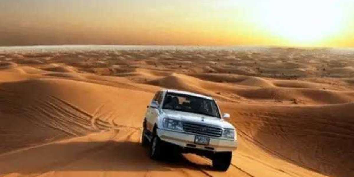 Desert Safari Packages: How to Find an Experience You’ll Enjoy